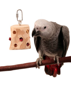 Foraging Fruit Rack - Hanging Toy For Parrots